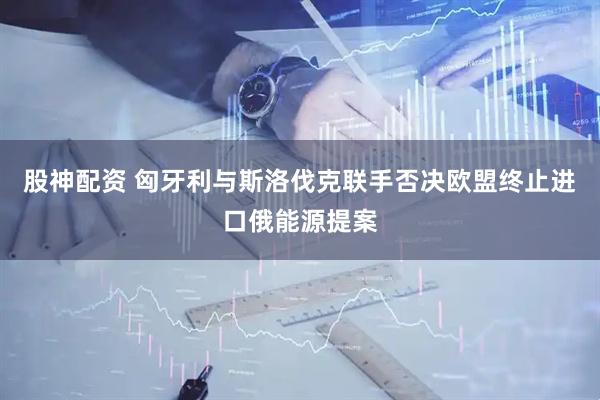 股神配资 匈牙利与斯洛伐克联手否决欧盟终止进口俄能源提案